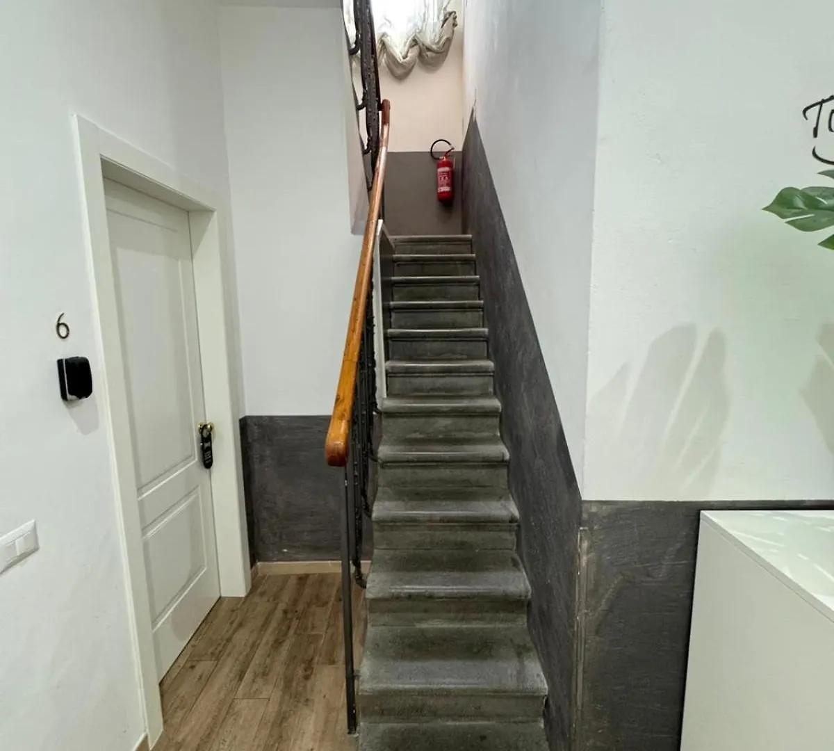 Apollo Guest House Firenze Italien